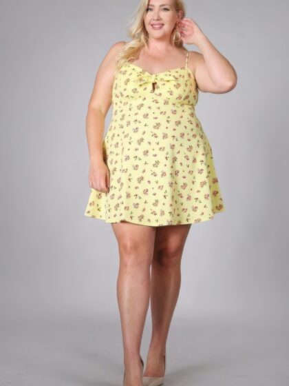 Plus Size Floral Fit And Flare Dress